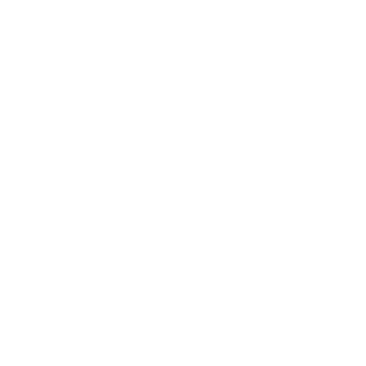 Product Fault Reporting